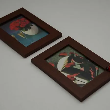 Natalija Gæstehus *