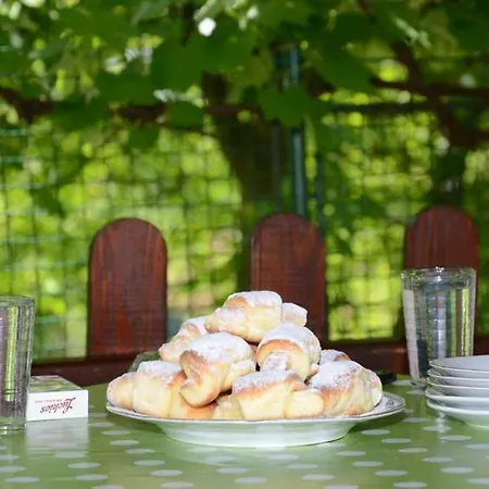Natalija Gornja Trepča